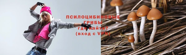 бутират Алексин