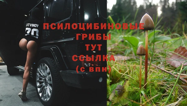 гидропоника Алзамай