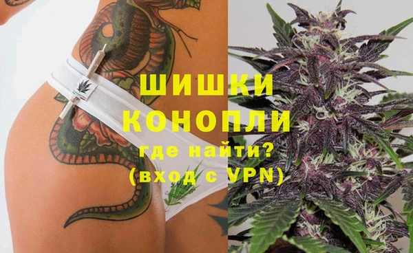 гидропоника Алзамай