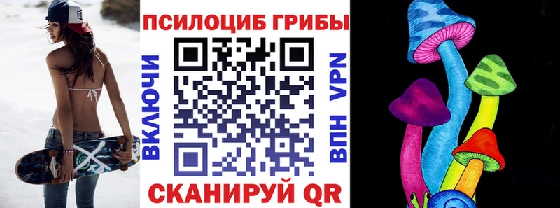 Галлюциногенные грибы Psilocybine cubensis  сайты даркнета состав  Новотитаровская 